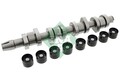 INA Nockenwellensatz 428 0042 30 für FORD SEAT VW SKODA AUDI