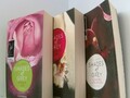 Shades of Grey, Band 1: Geheimes Verlangen / Band 2: Gefährliche Liebe / Band 3: