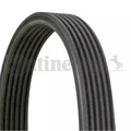 ORIGINAL® Continental Ctam Keilrippenriemen für VW POLO LUPO I Seat AROSA