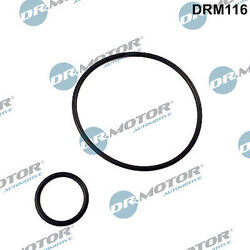 Dr.Motor Automotive DRM116 Dichtungssatz, Ansaugkrümmer für CITROËN,FIAT,PEUGEOT