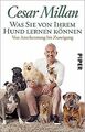 Was Sie von Ihrem Hund lernen können: Von Anerkennung bi... | Buch | Zustand gut