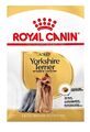 1,5 kg Royal Canin Yorkshire Terrier Adult (€ 15,46/kg) Futter für Terrier
