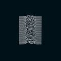 Joy Division - Unknown Pleasures [VINYL]