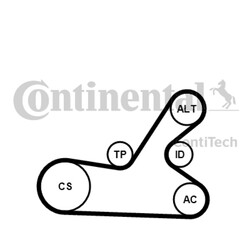 CONTINENTAL CTAM Keilrippenriemensatz 6PK1145K4 für SW 307 PEUGEOT 3A 3H Break