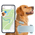 Tractive DOG 6 | GPS Tracker Hund & Health Tracker | Mint | GENERALÜBERHOLT