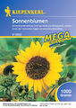 Kiepenkerl Sonnenblumen - 1 kg - Gründüngung, Dünger