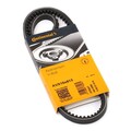 Continental ContiTech AVX10X813 Keilriemen 813mm für VW LT 28-35 I Bus (281-363)