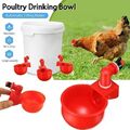 10X Automatischer Hühner-Wasserbecher, Farm Coop, Geflügel-Tränke, Wasserspender
