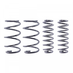 EIBACH TIEFERLEGUNGSFEDERN PRO-KIT E10-30-001-04-22