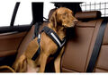Kleinmetall Allsafe Hunde Sicherheitsgurt Anschnallgurt für Auto PKW S M L XL