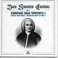6 CD - Bach Kantaten - Sonntage nach Trinitates 1 - Münchener Bach-Orchester