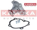 KAMOKA T0072 Wasserpumpe Wapu 