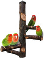 Vogelständer, Naturholz, Papageienstange, Vogelkäfig, Sitzstangen Für Papageien,