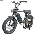 Elektrofahrrad 1000W 48V 17.5Ah/20Ah Mountainbike MTB Fettreifen E-Bike 20 Zoll 