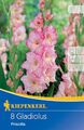 Großblumige Gladiole Priscilla, 8 Stück Blumenzwiebeln von Kiepenkerl