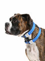  Cesar Millan Pack Leader Collar™ - Trainingshalsband des Hundeflüsterers
