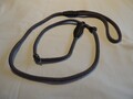Hundeleine inkl. Halsband  bis 40 cm
