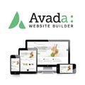 Avada Theme – Website Builder | WordPress SEO Theme | 12 Monate Updates | GPL