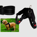Hundegeschirr Hunde Brustgeschirr verstellbar Gr. S, XL gepolstert Nylon refl.