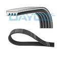 Dayco 4pk845 Keilrippenriemen für BMW Honda KIA Nissan Hyundai Subaru Daihatsu