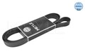 Meyle Keilrippenriemen 050 007 1795 passend für NISSAN OPEL RENAULT