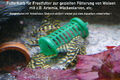 Futterkorb für Frostfutter, Fish-Feeder Aquarium, Futterautomat, Video ansehen !