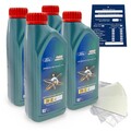 4 Liter orig. Ford Castrol Magnatec Prof. A5 5W30 Motoröl 15533B 15534F SET