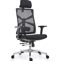 Holludle Ergonomischer Netz-Bürostuhl mit Adaptive Rückenlehne & 4D Armlehnen