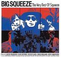 Squeeze - Big Squeeze: Very Best Of - 2 CDs