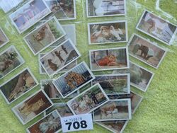 TYPHOO TEA 1932 Zoo Serie komplettes Set mit 25 Tee/Handelskarten KATZE £ 40