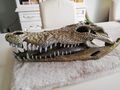 Aquarium Terrarium Deko Krokodil Schädel XXL Höhle Zubehör Einrichtung Knochen