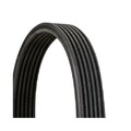 Continental Ctam 6DPK1215 Keilrippenriemen für Seat VW