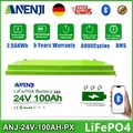 24V 100Ah 2.56Kwh LiFePO4 Batterie Bluetooth 25.6V BMS Solaranlage 6000 Zyklen