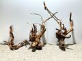 Drachenwurzel, Curl Wurzel, Aquariumwurzel,  Mangrove  #1350 SET 3 Stück