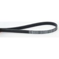 ContiTech 4PK922 ELAST Keilrippenriemen für FORD PEUGEOT CITROEN FIAT