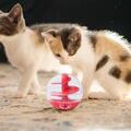 Katzenleckerbissenball, Katzenpuzzle Spielzeug, Katzenanreicherung Spielzeug Kauspielzeug IQ Training Futter