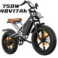 JANSNO 750W Elektrofahrrad 48V17Ah 20 Zoll Offroad E-Mountainbike 48km/h X50M-17