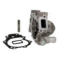 Wasserpumpe 35-01-168 ASHIKA für NISSAN RENAULT