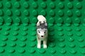 Lego Tier Hund Husky