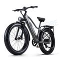 Elektrofahrrad E-mountainbike 1000W 26 Zoll Shimano eBike Fatbike Pedelec e Mtb