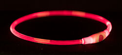 Trixie Flash Leuchtring USB S–M 40 cm/ø 8 mm rot Hundehalsband Lichthalsband