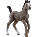 Schleich Cheval de Selle Francais Fohlen Horse Club Sammelfigur ab 3+ Jahren