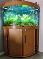 Juwel SBX Trigon 190 Aquarium Unterschrank, 98,5x70x73 Cm