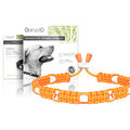 EM-Keramik-Halsband aus Paracord, Zier-Halsband für Hunde Größe XS - L,  orange