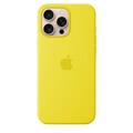 APPLE Silikon Case mit MagSafe, Backcover, Apple, iPhone 16 Pro Max, Sternfrucht