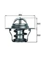MAHLE (TX 14 87D) Thermostat Kühlmittel für AUDI MITSUBISHI NISSAN SEAT