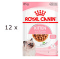 (€ 27,40/kg) Royal Canin Kitten in Soße Nassfutter für Katzenwelpen 12x 85g