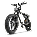 E bike 20 Zoll Elektrofahrrad 45km/h 750W E Mountainbike Fatbike Shimano Pedelec