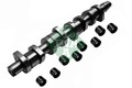 INA Nockenwellensatz 428 0039 30 für AUDI SEAT SKODA VW