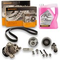 Conti Wasserpumpe Zahnriemensatz 5L Frostschutz Audi A3 8P Golf 6 Passat Touran